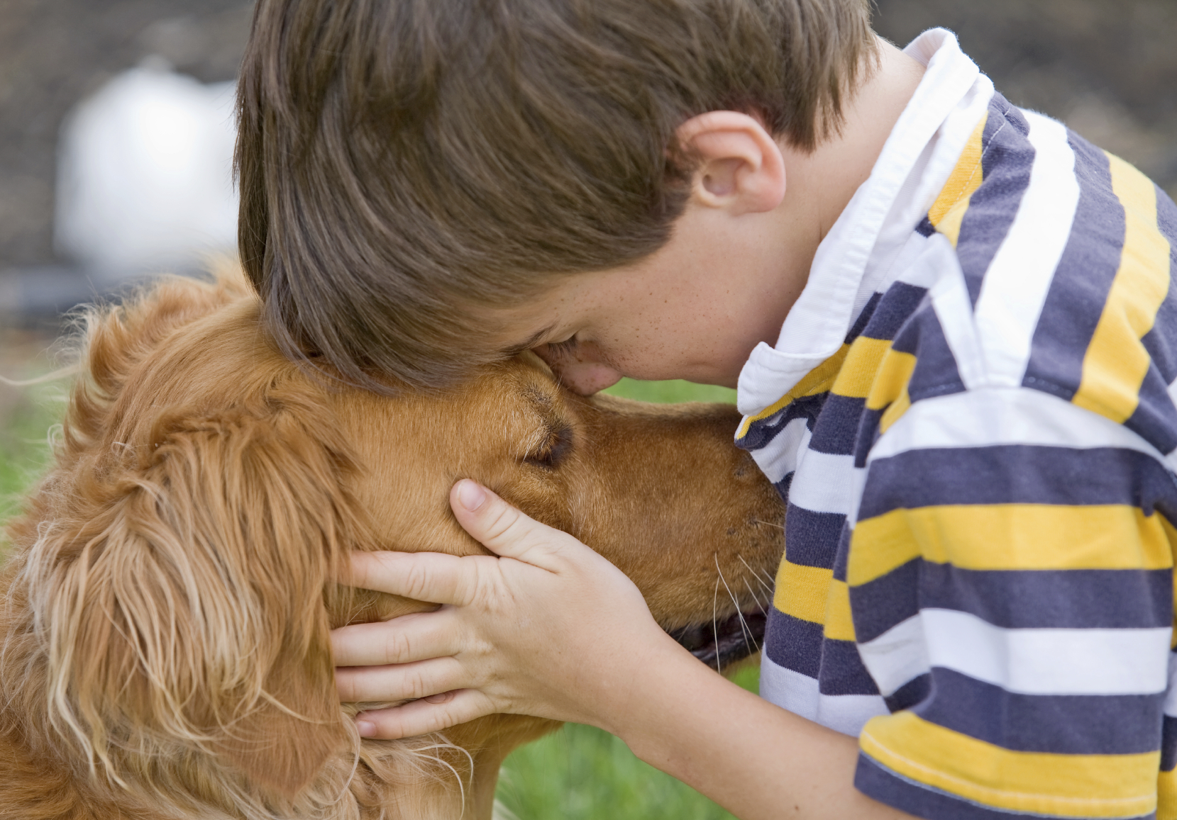 Foster children and pets